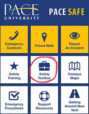 Pace Safe App