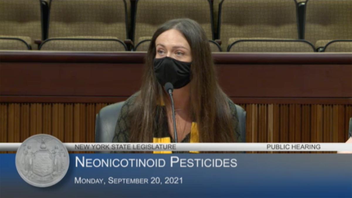 Maddie Feaster testifying at a public hearing in front of New York State Legislature.