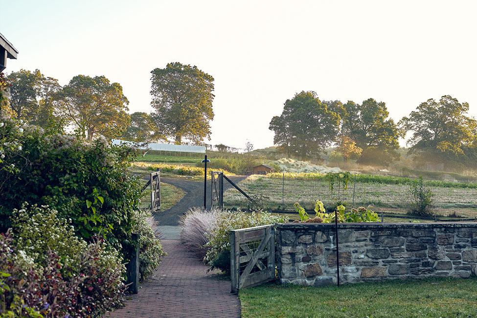 Stone Barns Center grounds