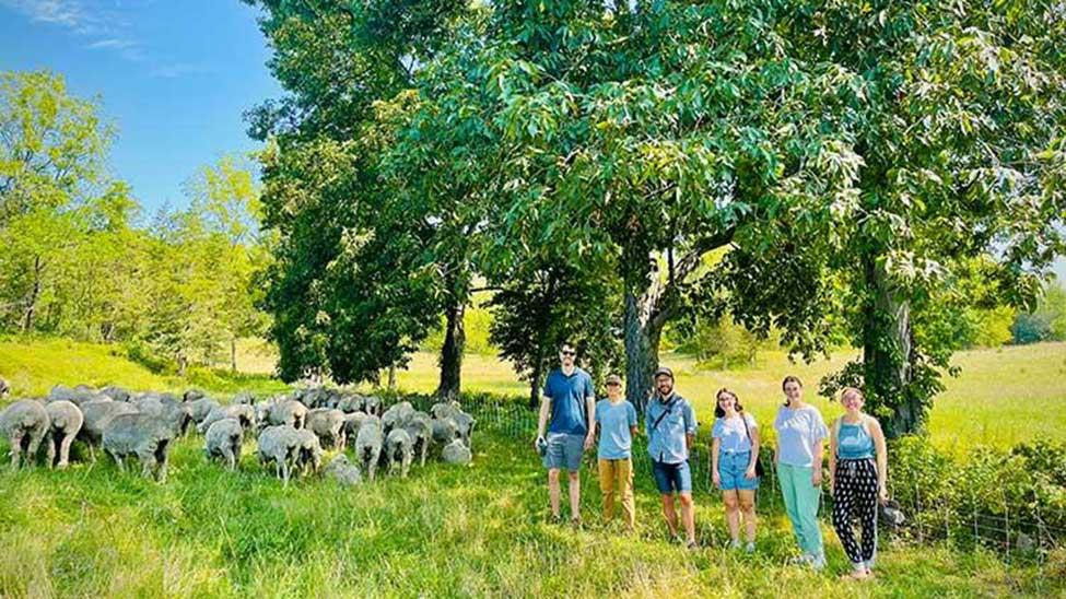 image of faculty and students and farmers on a farm with sheep in the field related to Food and Farm Business Law Clinic