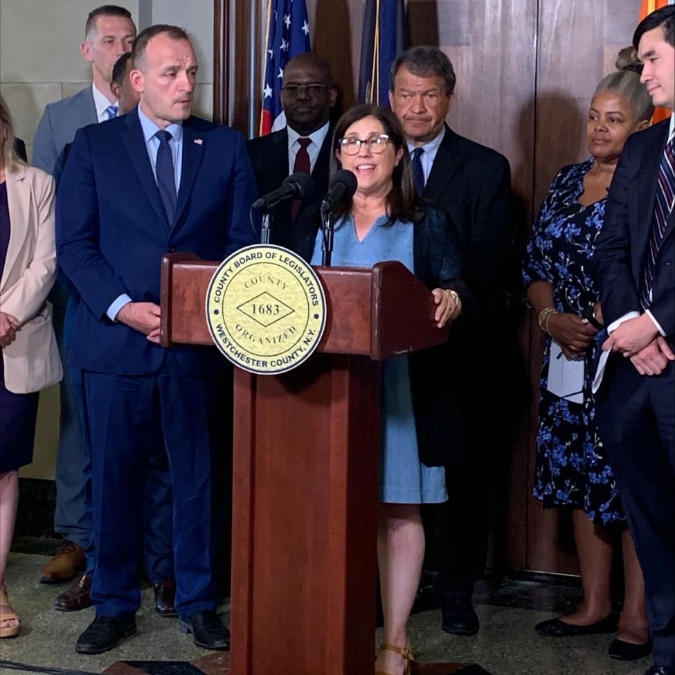 Pace Women's Justice Center Cindy Kanusher speaking at the signing of a domestic violence law press conference