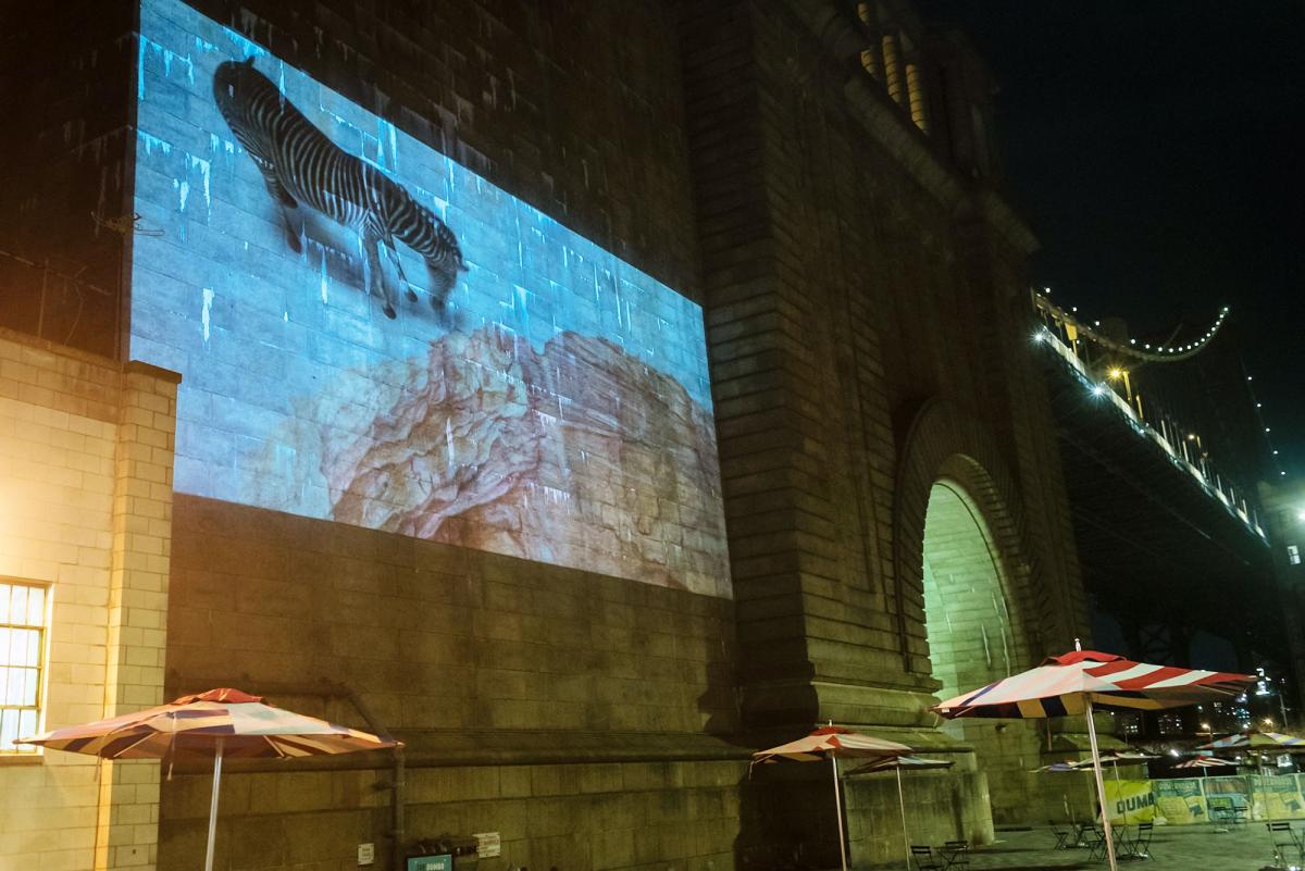 Pace University Art professor Jillian McDonald's DUMBO Projection Project art exhibit projected on the Manhattan Bridge.