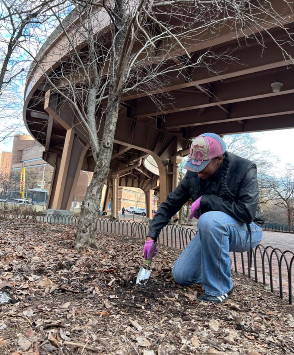 Pace University Environmental Studies and Science student collects soil samples in Gotham Park for analysis.