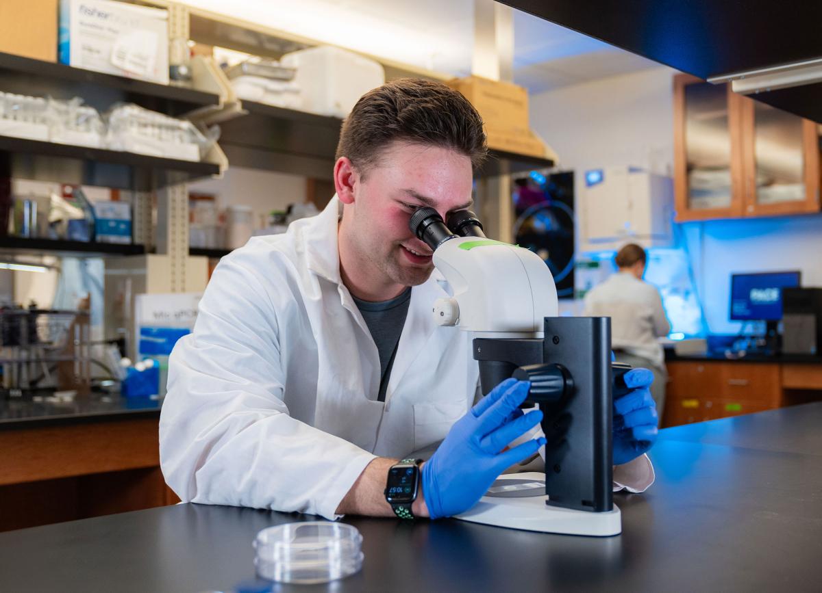 A Pace University science student uses the microscope in the lab to examine slides.