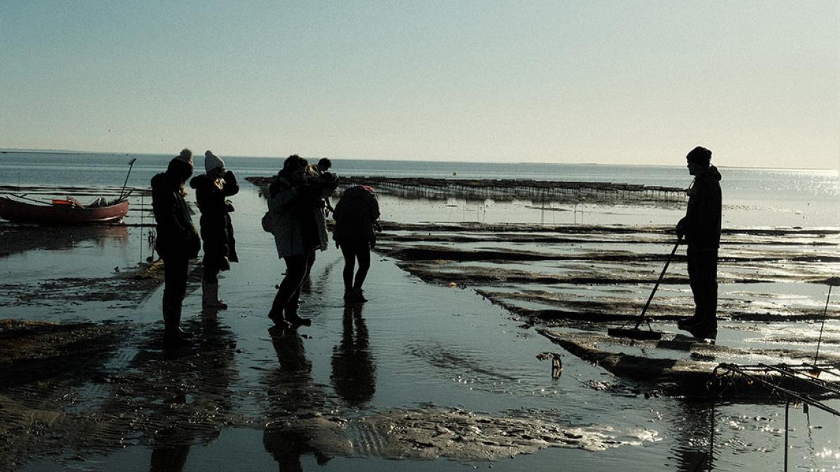 Pace students on the shore looking for oysters