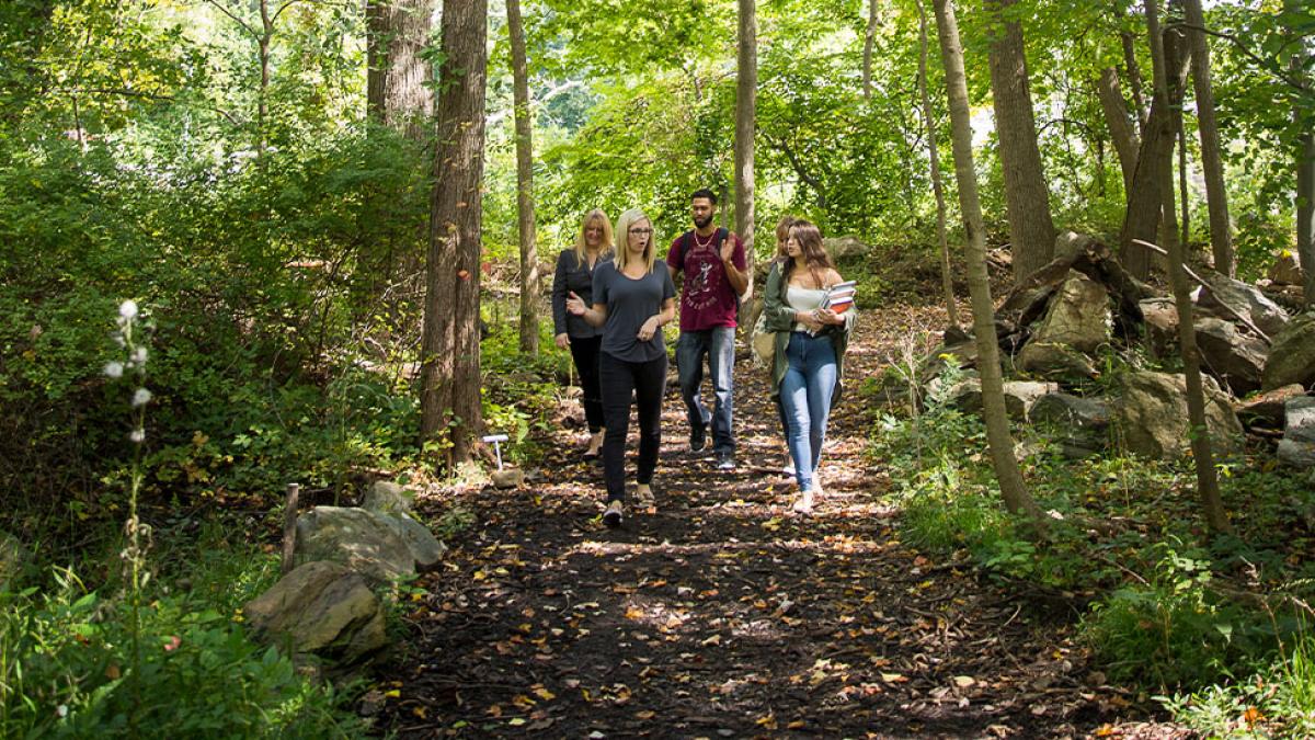 Pleasantville students walking through wooded area