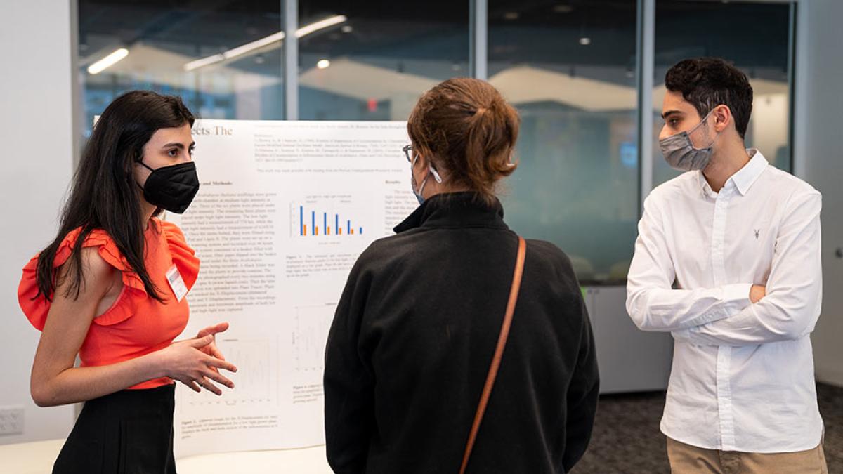 students and teacher discussing research