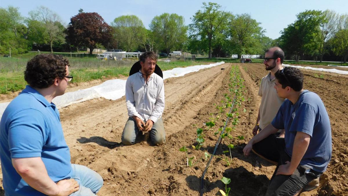 Elisabeth Haub School of Law students looking at fresh crops on a farm