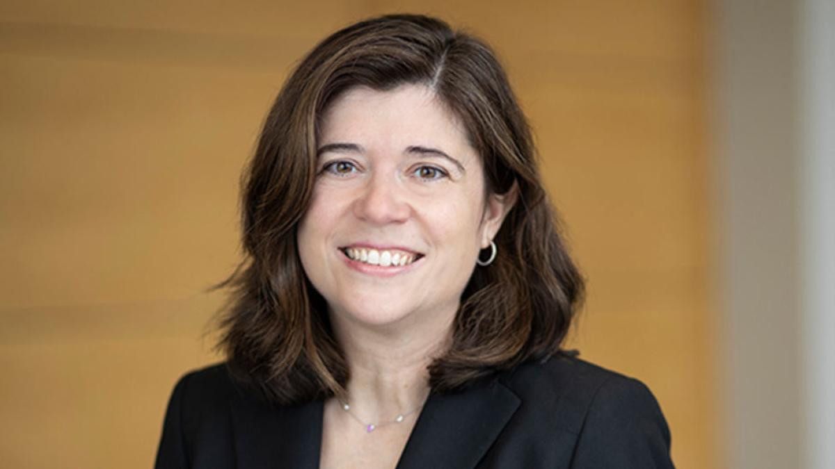 Emily Gold Waldman, Professor of Law at the Elisabeth Haub School of Law