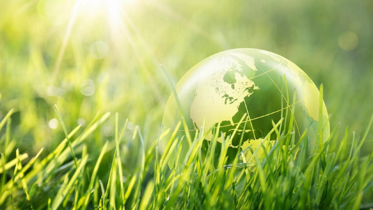 close up of small globe resting on a lawn of grass representing the idea of reducing carbon emissions