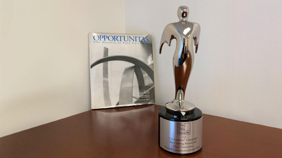 Pace University's Dyson College of Arts and Science's Telly Award