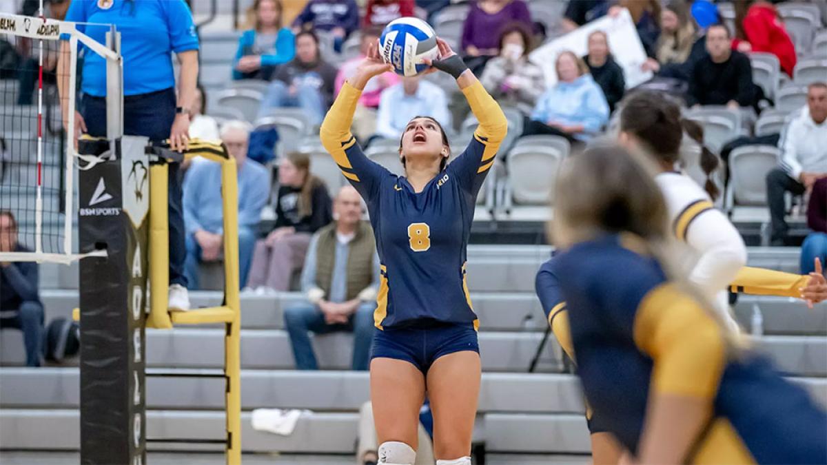 Pace University volleyball player playing bunting the ball.