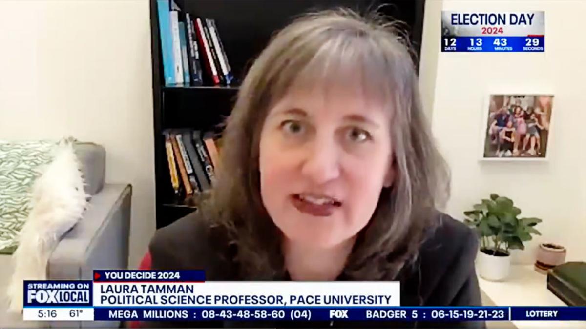 Pace University Clinical Assistant Professor of Political Science Laura Tamman, PhD speaking with Fox on Hudson Valley Congressional District race