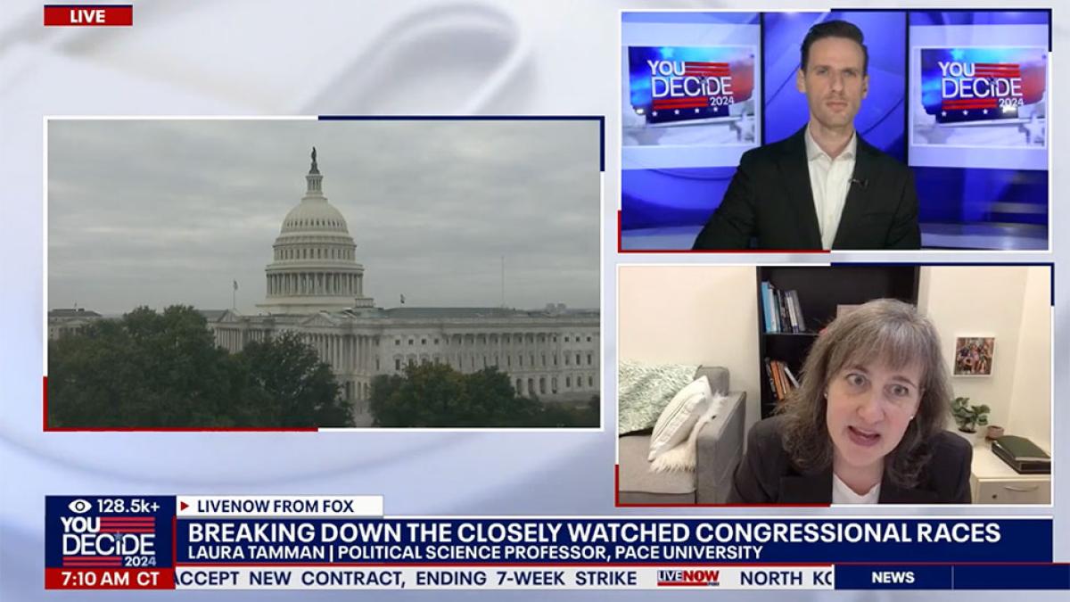 Screen capture of Pace University Political Science professor Laura Tamman, PhD, speaking to Fox news about the congressional races