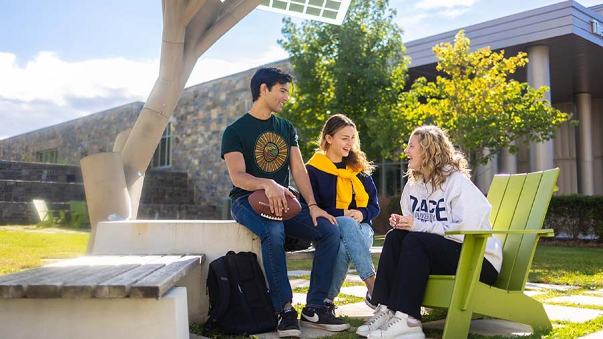 Pace University students sitting on the lawn at the Westchester campus in NY.