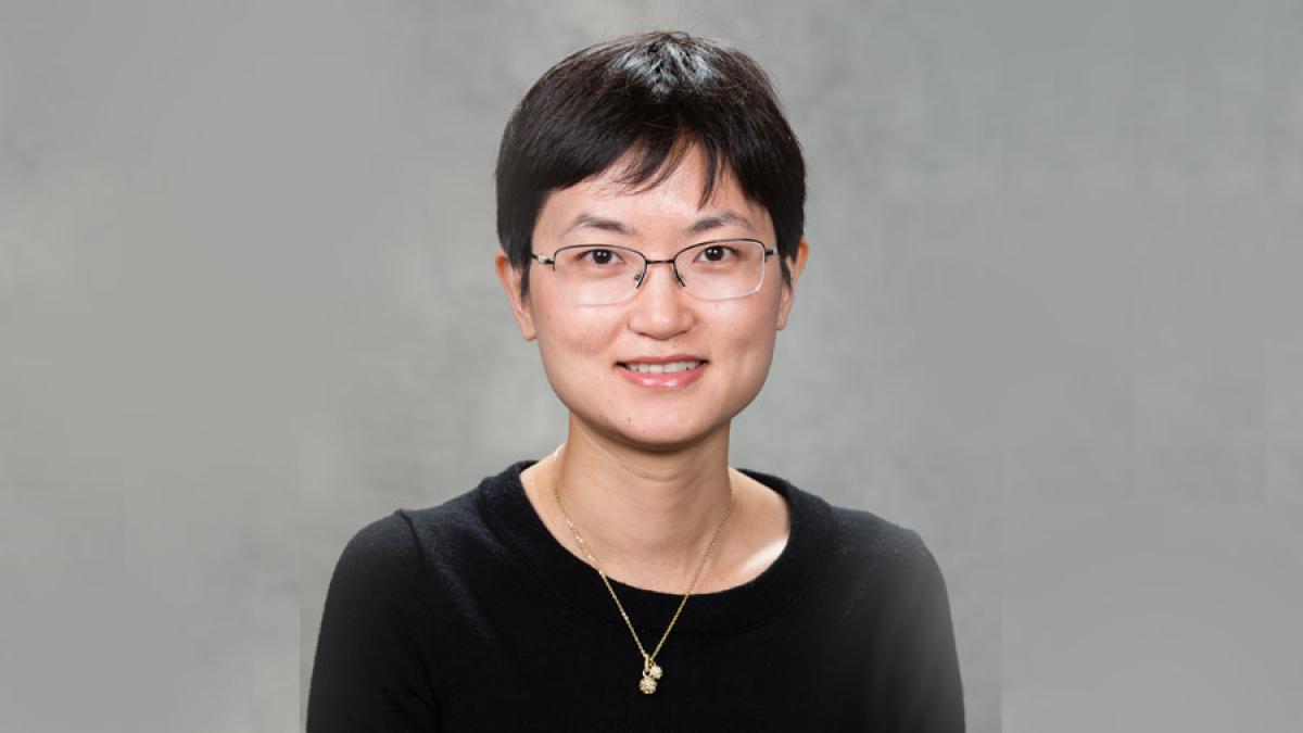 Ping Wang, Associate Professor and Graduate Program Chair of Lubin School of Business at Pace University