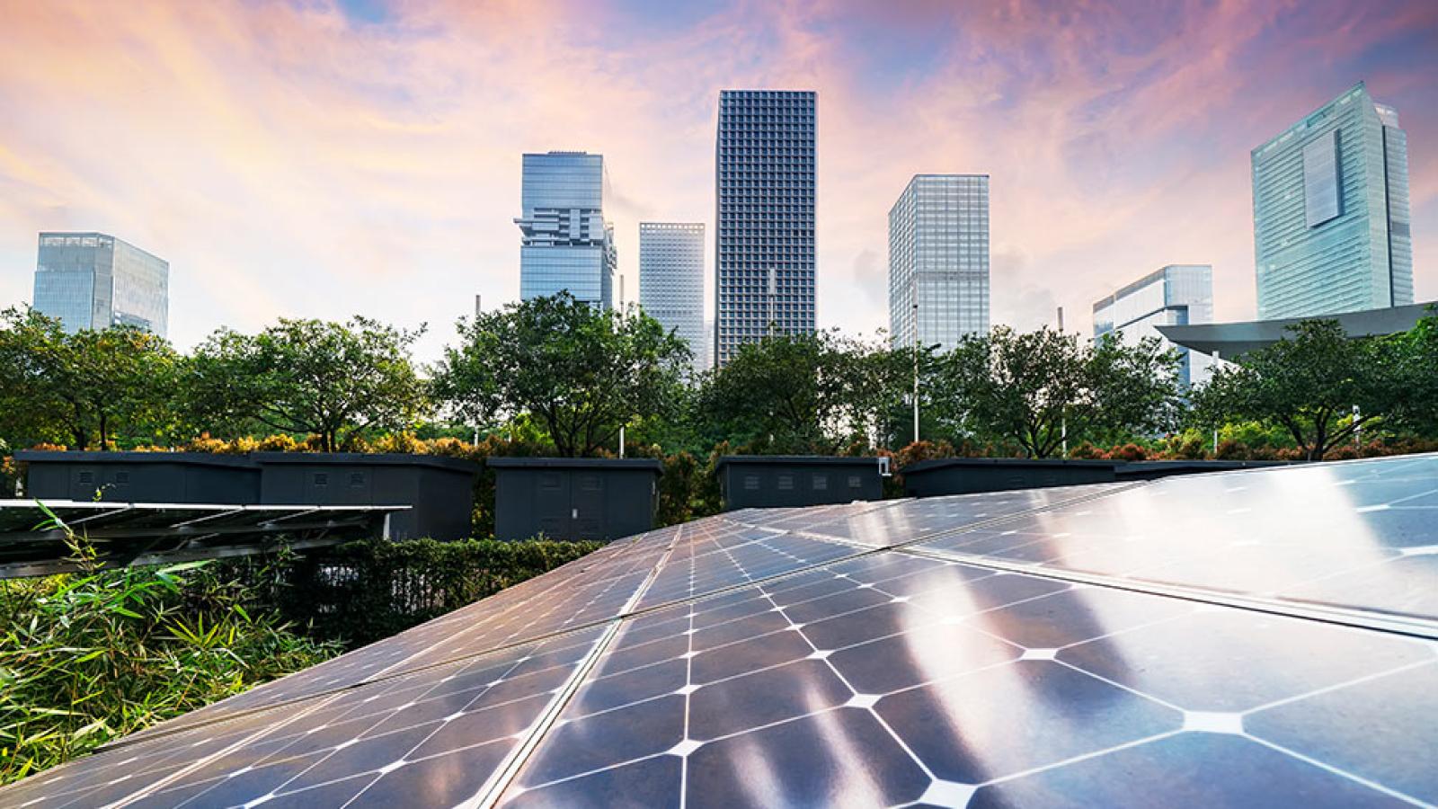 Solar panels in a field with skyscrapers in the background.