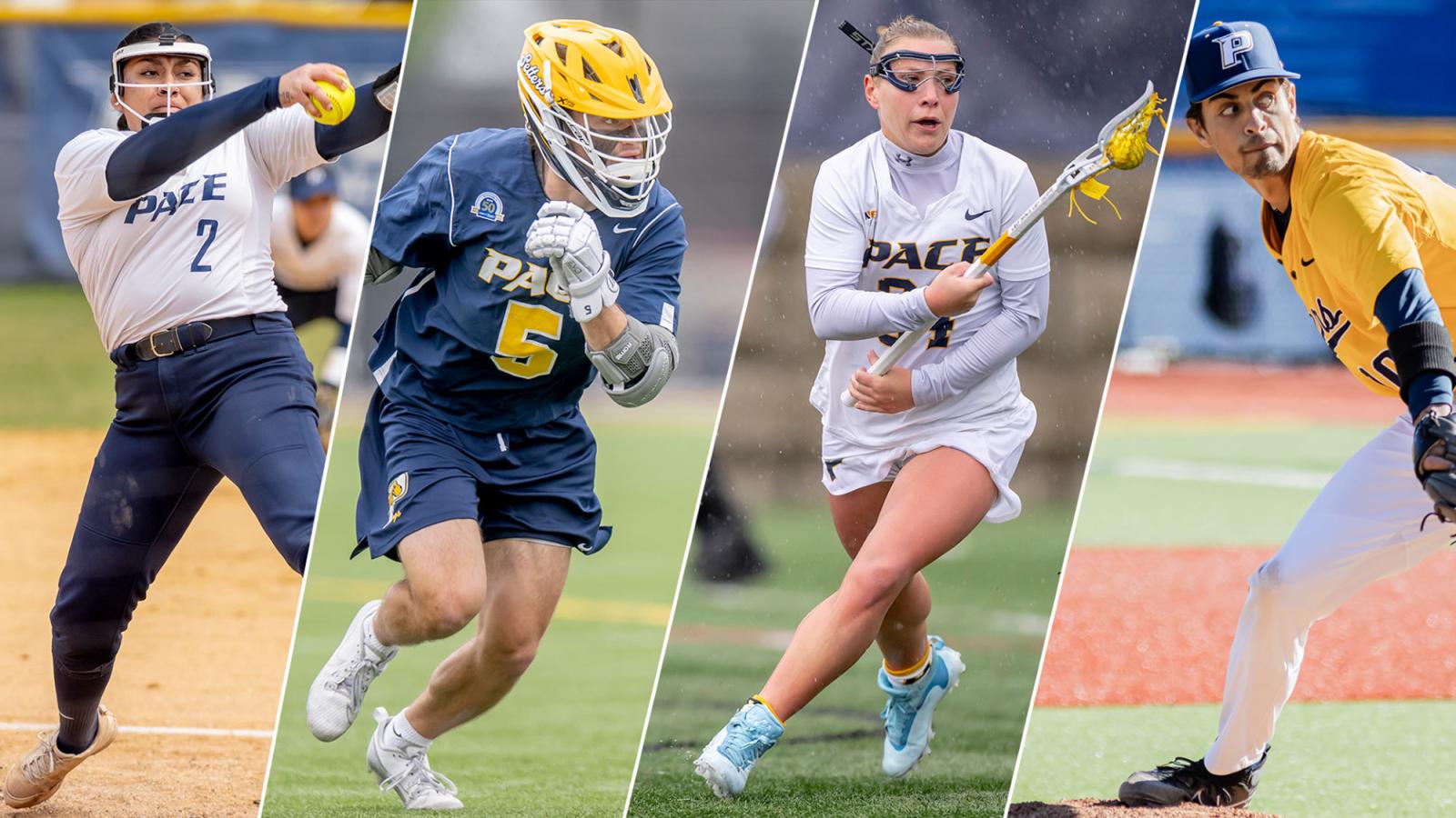 Side by side images of Pace softball, men's and women's lacrosse, and baseball