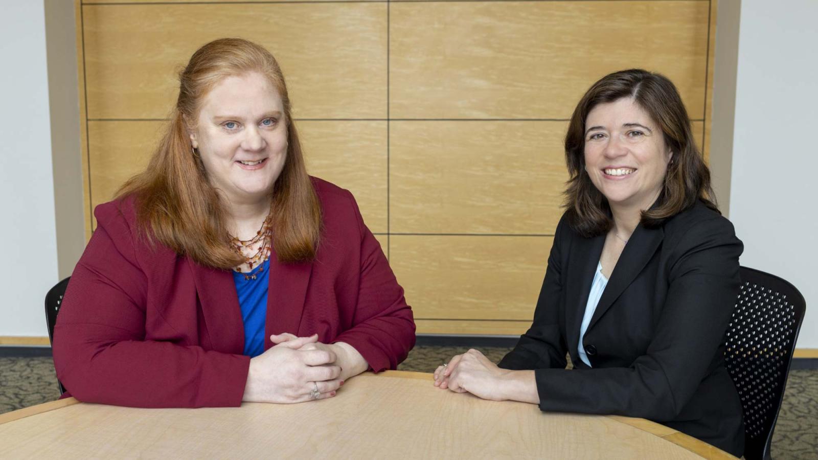 Elisabeth Haub School of Law Professors Bridget Crawford and Emily Gold Waldman