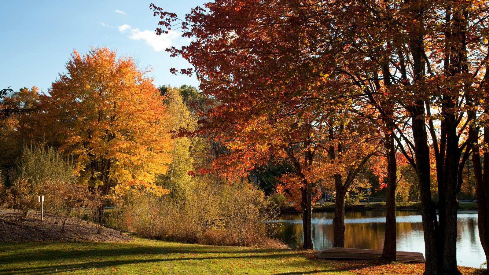 The Pleasantville Campus with trees and fall foliage. 