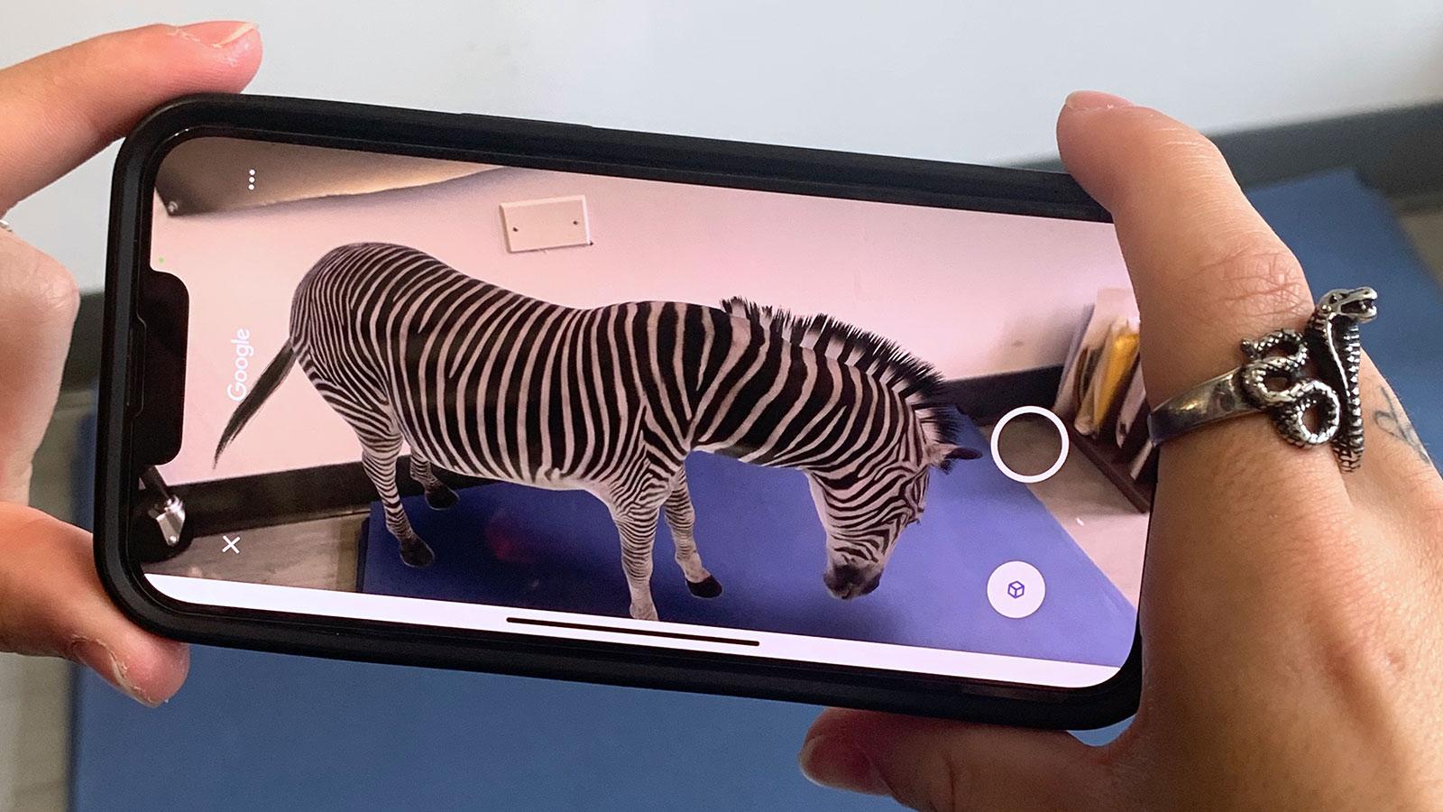 An augmented reality projection of a zebra on a smartphone being held by Pace University student Ben Pfiefer for Art professor Jillian McDonald's DUMBO Projection Project art exhibition