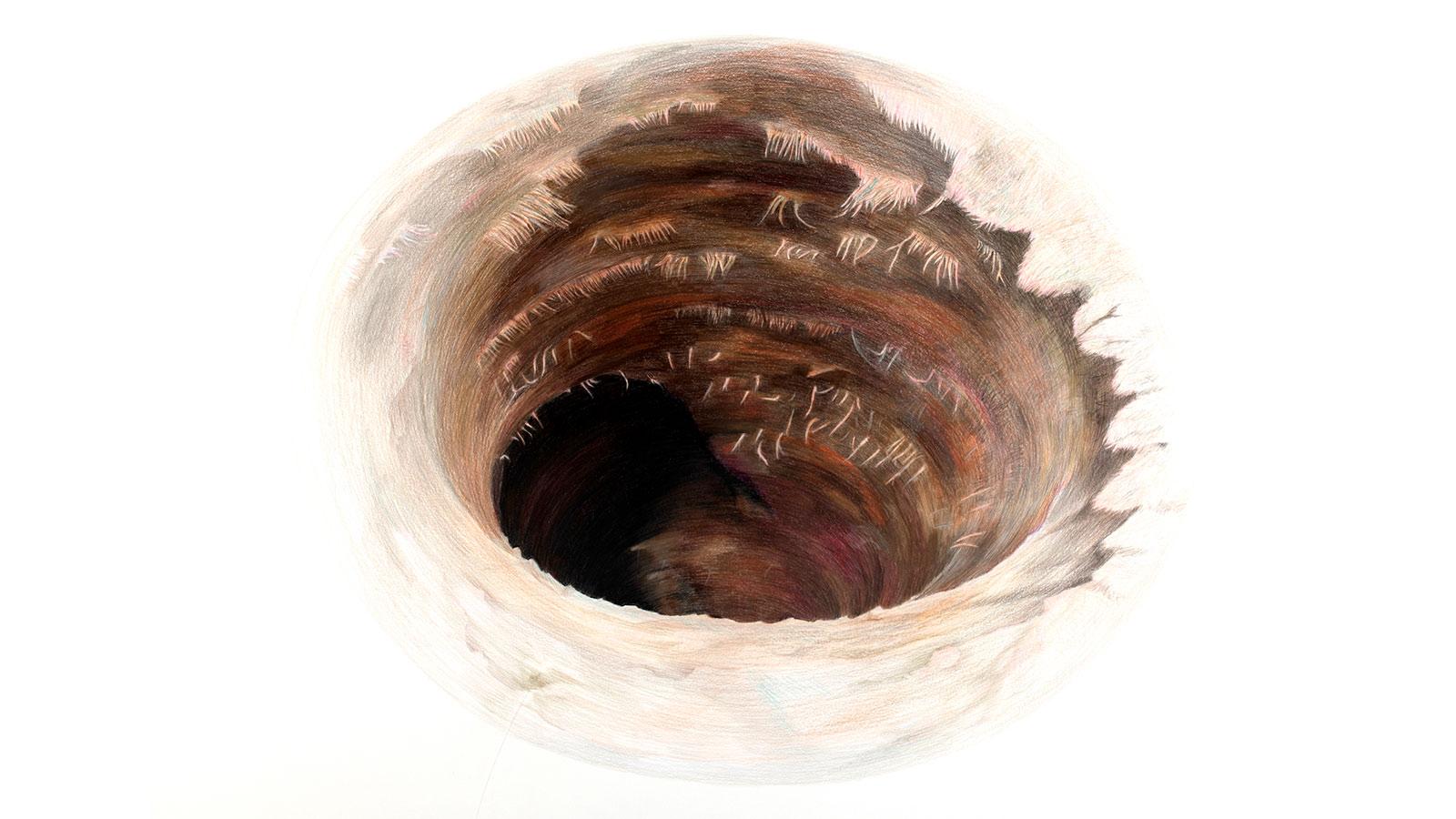 Hand-drawn brown animal burrow for Art professor Jillian McDonald's DUMBO Projection Project art exhibition
