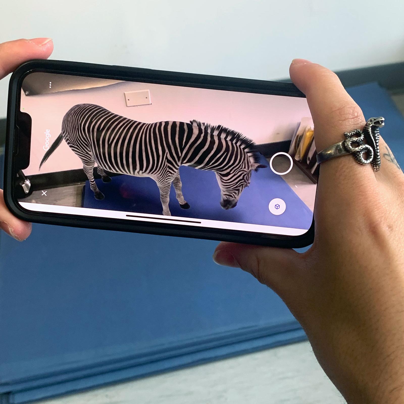 An augmented reality projection of a zebra on a smartphone being held by Pace University student Ben Pfiefer for Art professor Jillian McDonald's DUMBO Projection Project art exhibition