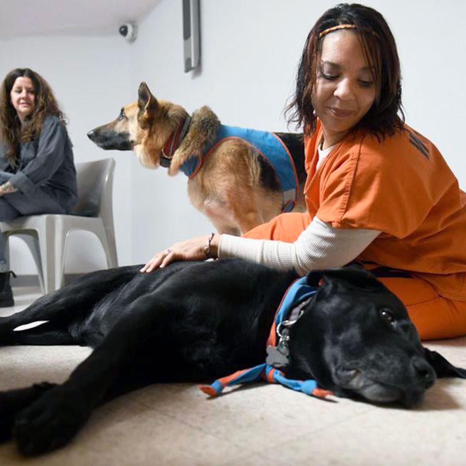 Pace University Criminal Justice and Security students work with incarcerated women through dog therapy