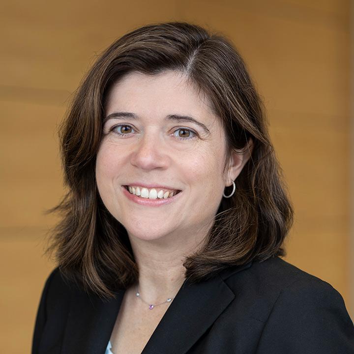 Emily Gold Waldman, Professor of Law at the Elisabeth Haub School of Law