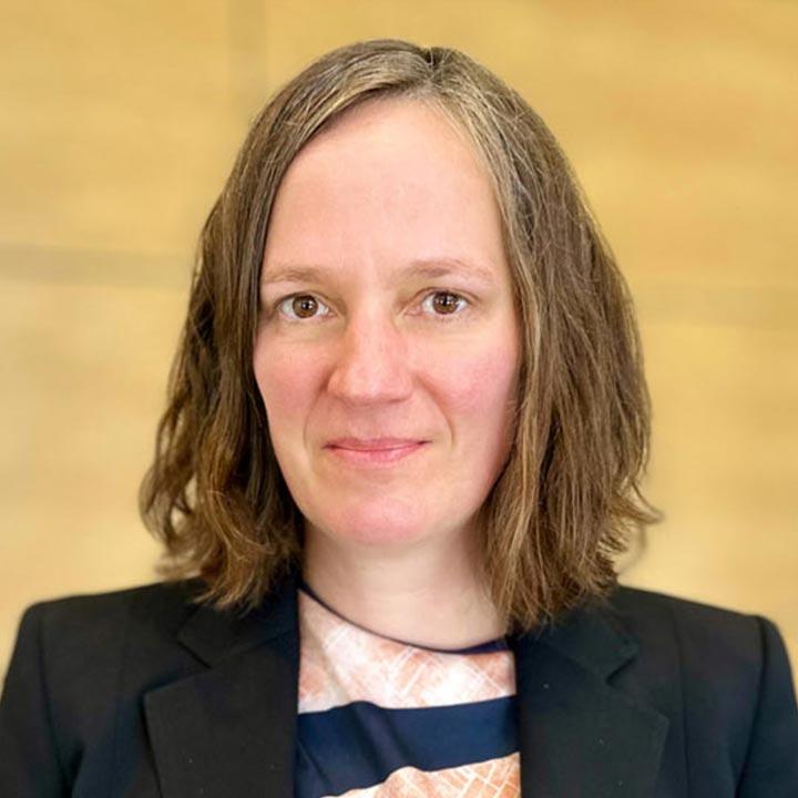 Assistant Professor of Law and Director of the Immigration Justice Clinic, Elisabeth Haub School of Law