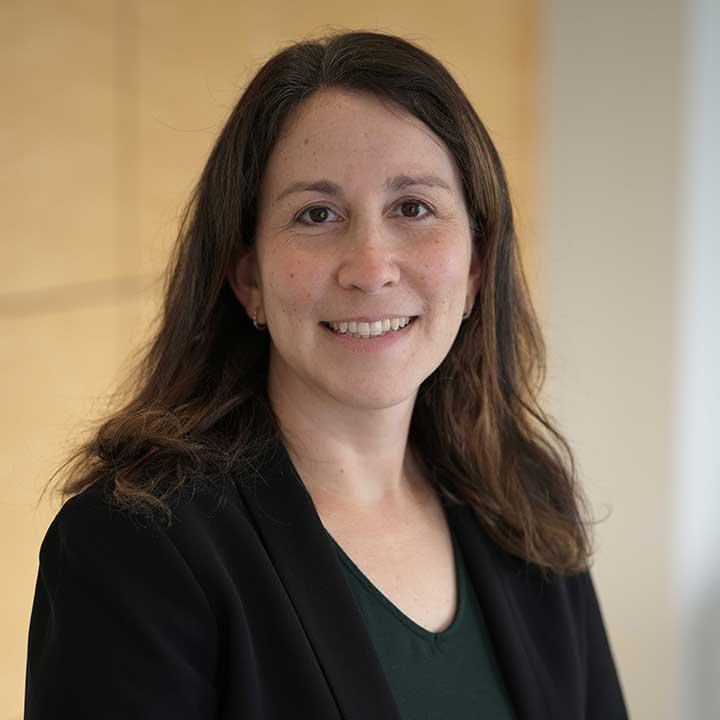 Lauren R. Roth, Associate Professor of Law, Elisabeth Haub School of Law at Pace University