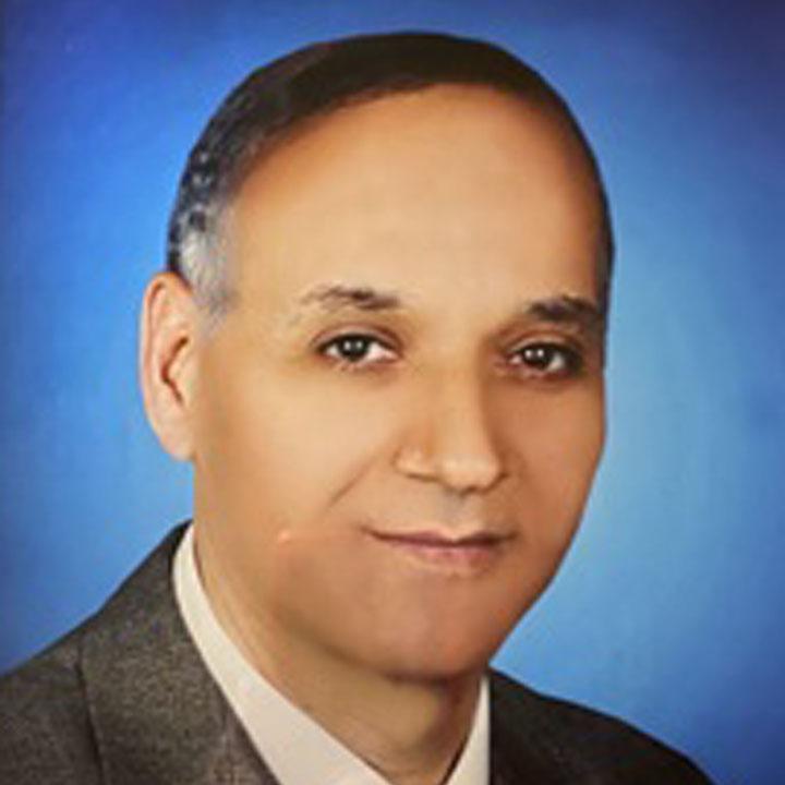 Samir El-Gazzar